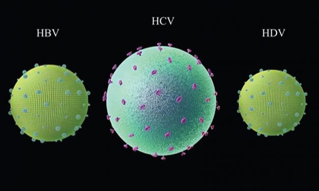 Informaciones útiles acerca de Hepatitis